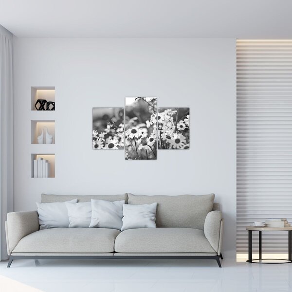 Slika - tratinčice (90x60 cm)