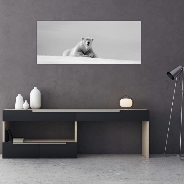 Slika - polarni medvjed (120x50 cm)