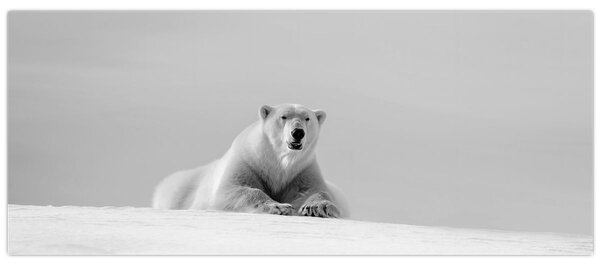 Slika - polarni medvjed (120x50 cm)