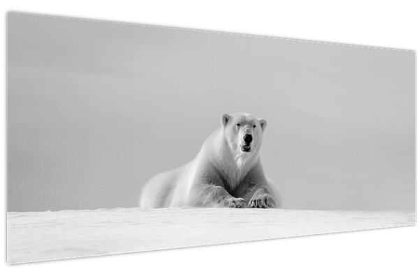 Slika - polarni medvjed (120x50 cm)