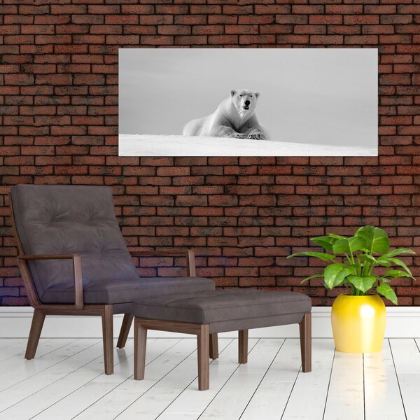 Slika - polarni medvjed (120x50 cm)