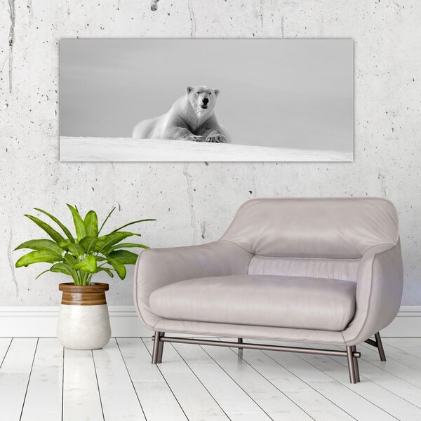 Slika - polarni medvjed (120x50 cm)