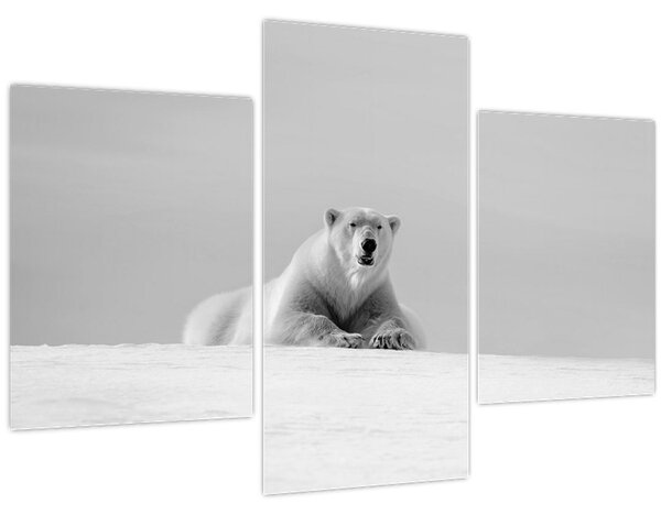 Slika - polarni medvjed (90x60 cm)