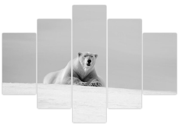 Slika - polarni medvjed (150x105 cm)