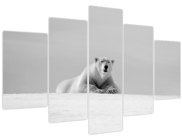 Slika - polarni medvjed (150x105 cm)