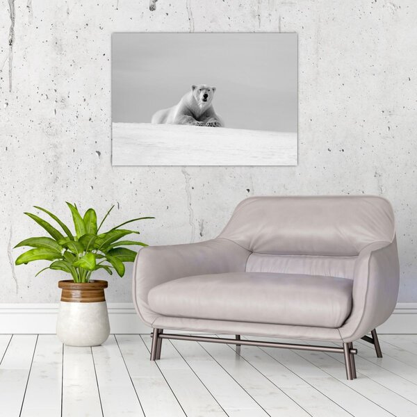Slika - polarni medvjed (70x50 cm)