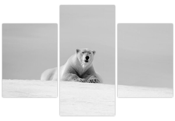 Slika - polarni medvjed (90x60 cm)