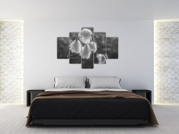 Slika - Cottongrass (150x105 cm)