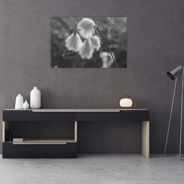 Slika - Cottongrass (90x60 cm)