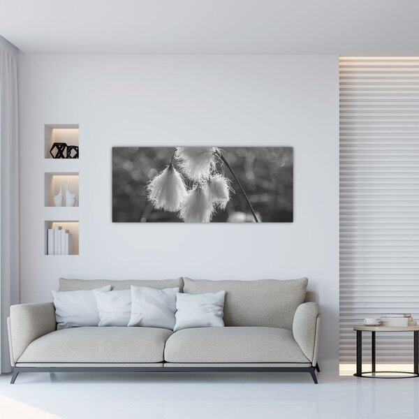 Slika - Cottongrass (120x50 cm)