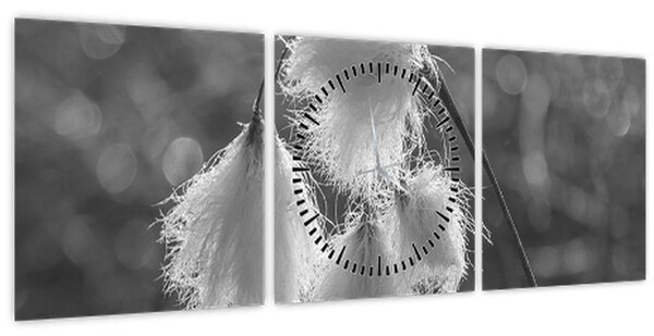 Slika - Cottongrass (sa satom) (90x30 cm)