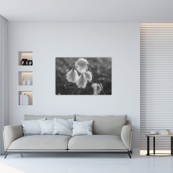 Slika - Cottongrass (90x60 cm)