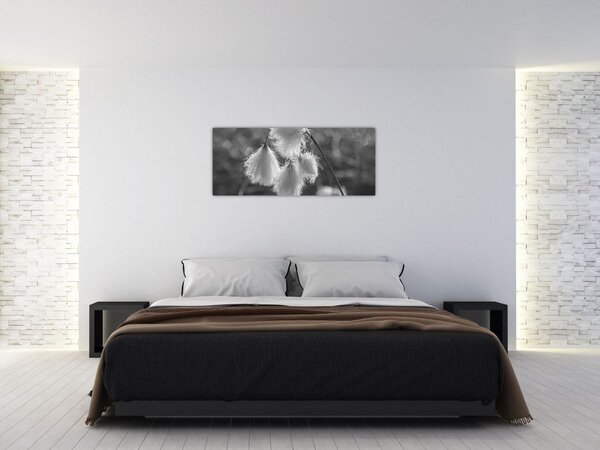 Slika - Cottongrass (120x50 cm)