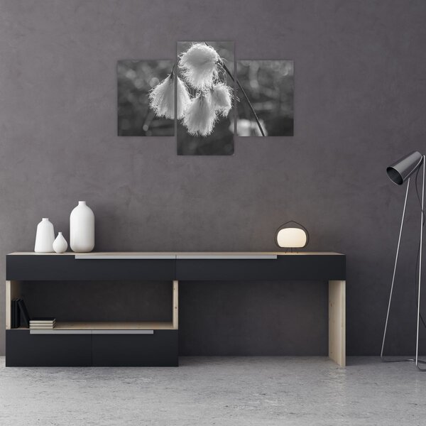 Slika - Cottongrass (90x60 cm)