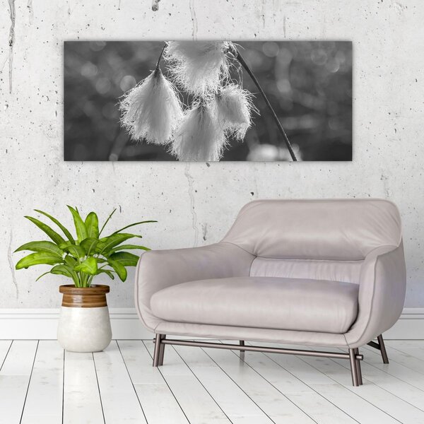 Slika - Cottongrass (120x50 cm)