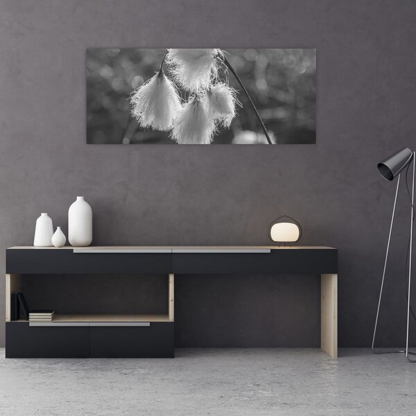 Slika - Cottongrass (120x50 cm)