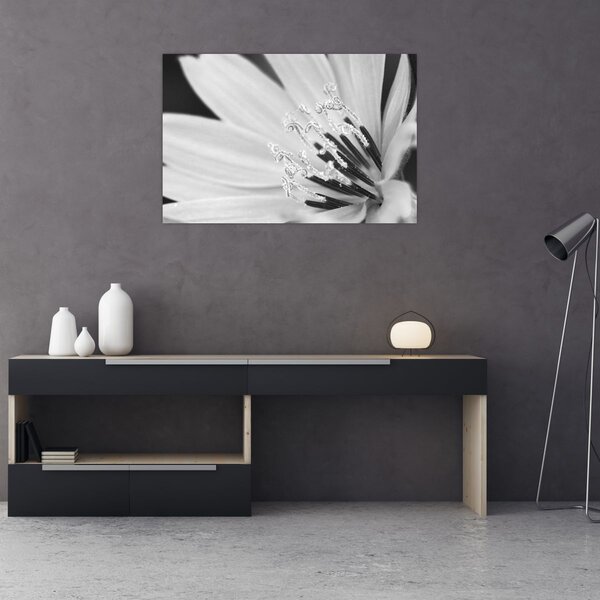 Slika - Crno-bijeli cvijet (90x60 cm)