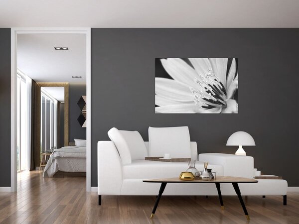 Slika - Crno-bijeli cvijet (90x60 cm)