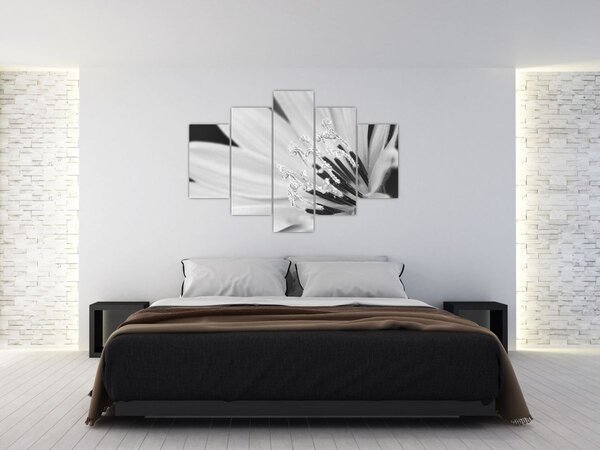 Slika - Crno-bijeli cvijet (150x105 cm)