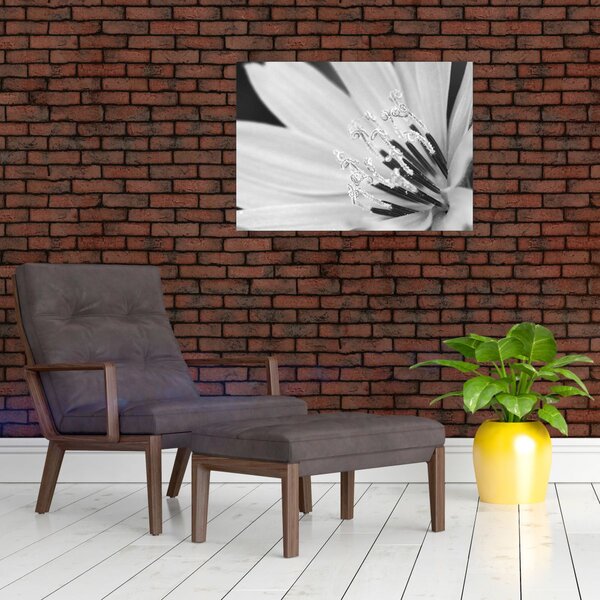Slika - Crno-bijeli cvijet (70x50 cm)