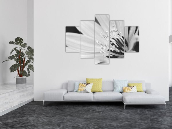 Slika - Crno-bijeli cvijet (150x105 cm)