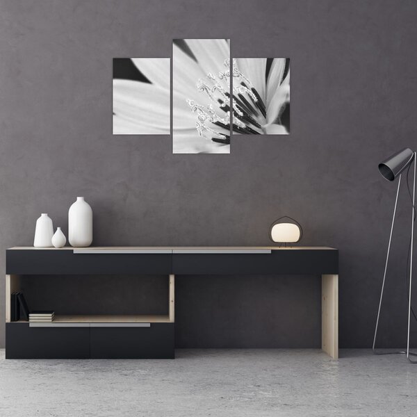 Slika - Crno-bijeli cvijet (90x60 cm)