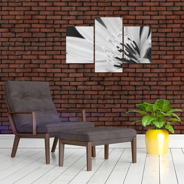 Slika - Crno-bijeli cvijet (90x60 cm)