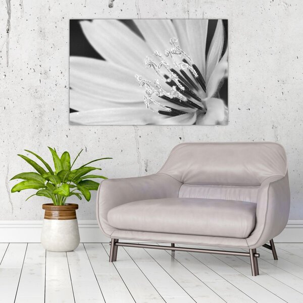 Slika - Crno-bijeli cvijet (90x60 cm)