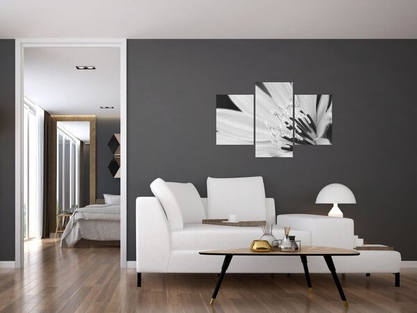Slika - Crno-bijeli cvijet (90x60 cm)