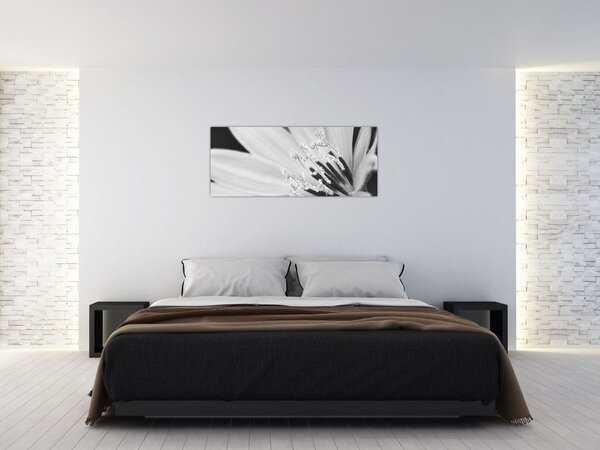 Slika - Crno-bijeli cvijet (120x50 cm)