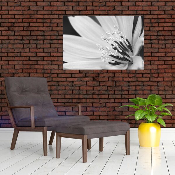 Slika - Crno-bijeli cvijet (90x60 cm)