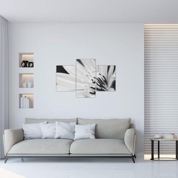 Slika - Crno-bijeli cvijet (90x60 cm)