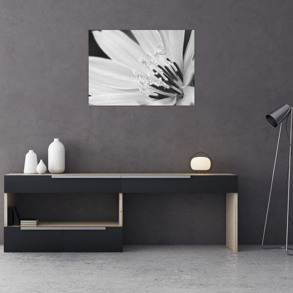 Slika - Crno-bijeli cvijet (70x50 cm)