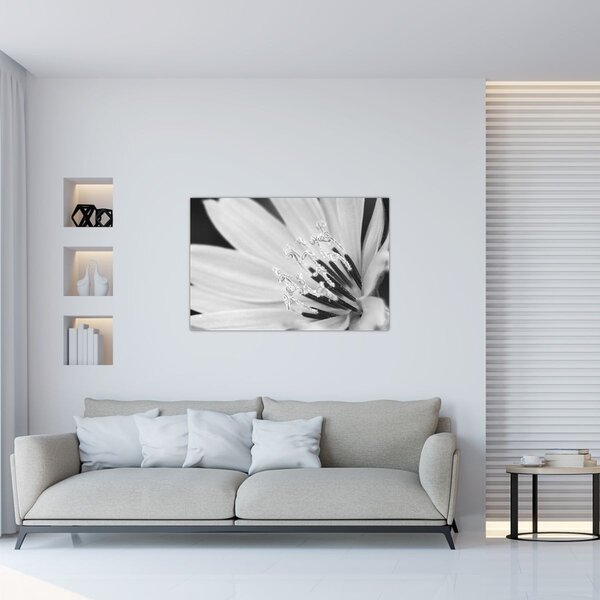 Slika - Crno-bijeli cvijet (90x60 cm)