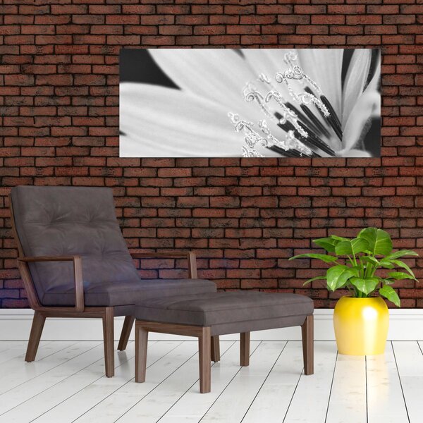Slika - Crno-bijeli cvijet (120x50 cm)