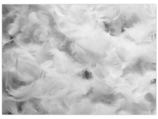 Slika - Oblaci od perja (70x50 cm)