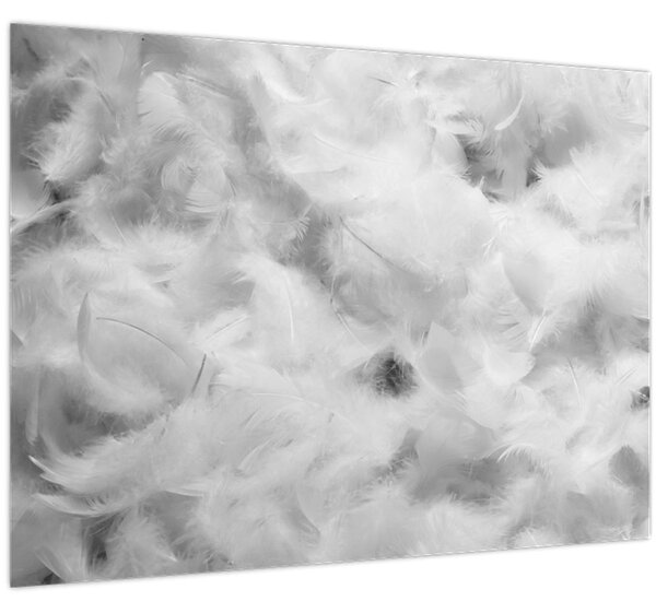 Slika - Oblaci od perja (70x50 cm)