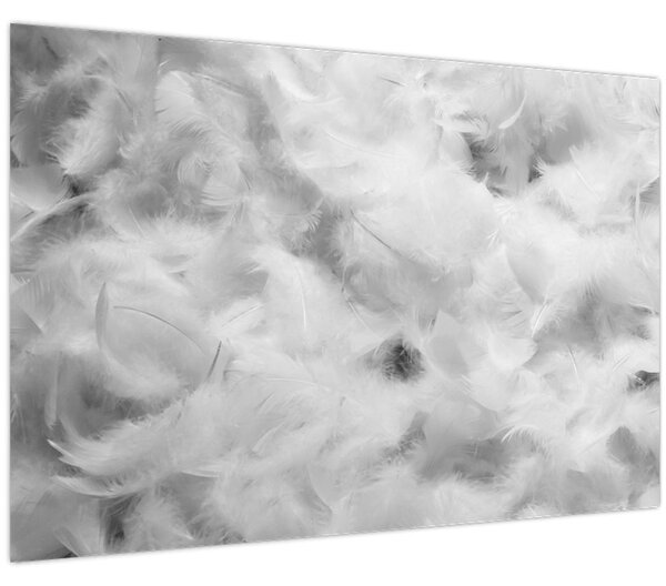 Slika - Oblaci od perja (90x60 cm)