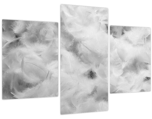 Slika - Oblaci od perja (90x60 cm)