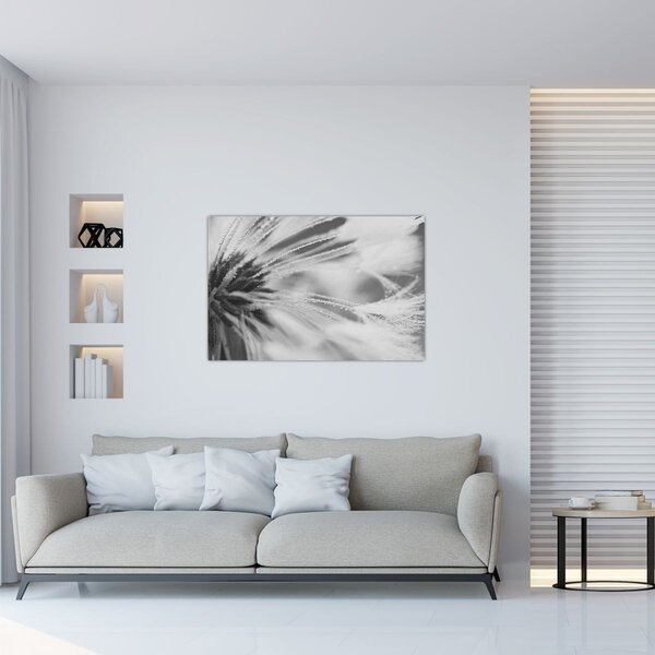 Slika - Maslačak (90x60 cm)