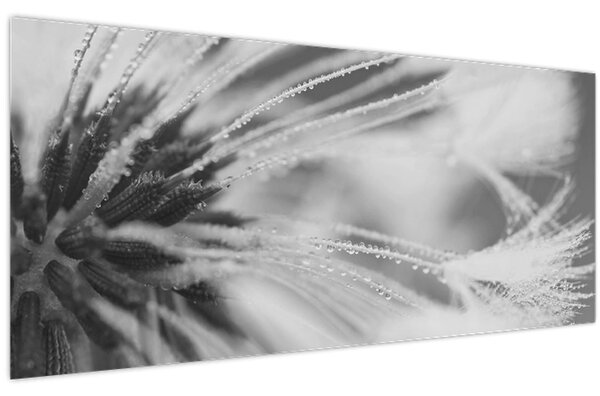 Slika - Maslačak (120x50 cm)