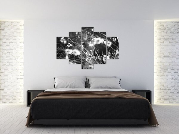 Slika - Paukova mreža na livadi (150x105 cm)