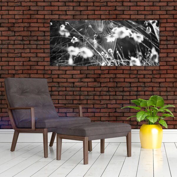 Slika - Paukova mreža na livadi (120x50 cm)
