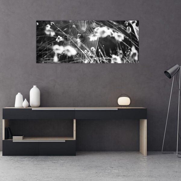 Slika - Paukova mreža na livadi (120x50 cm)