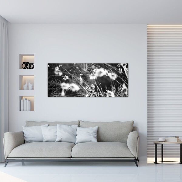 Slika - Paukova mreža na livadi (120x50 cm)