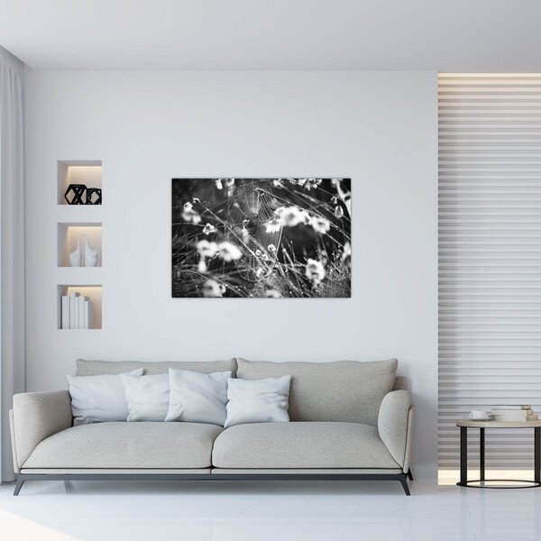Slika - Paukova mreža na livadi (90x60 cm)