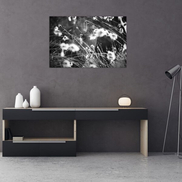 Slika - Paukova mreža na livadi (90x60 cm)