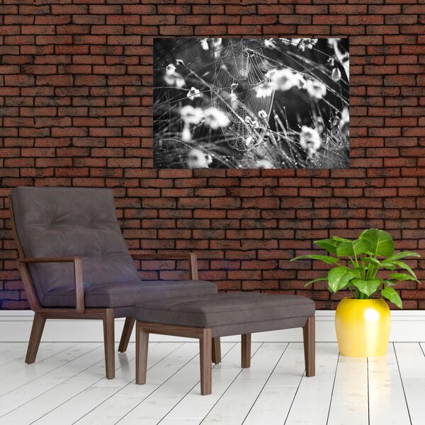 Slika - Paukova mreža na livadi (90x60 cm)