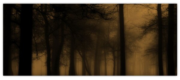 Slika - Tamna šuma (120x50 cm)