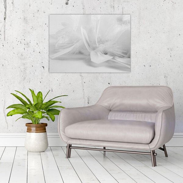 Slika - Perje (70x50 cm)